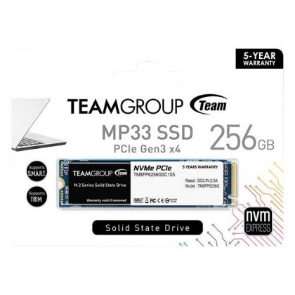 TeamGroup MP33 M.2 256GB Nvme Internal SSD